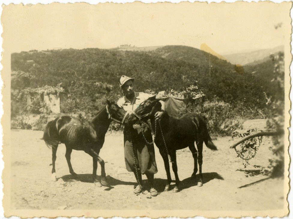 Albania, 1940. I nostri cavallini
