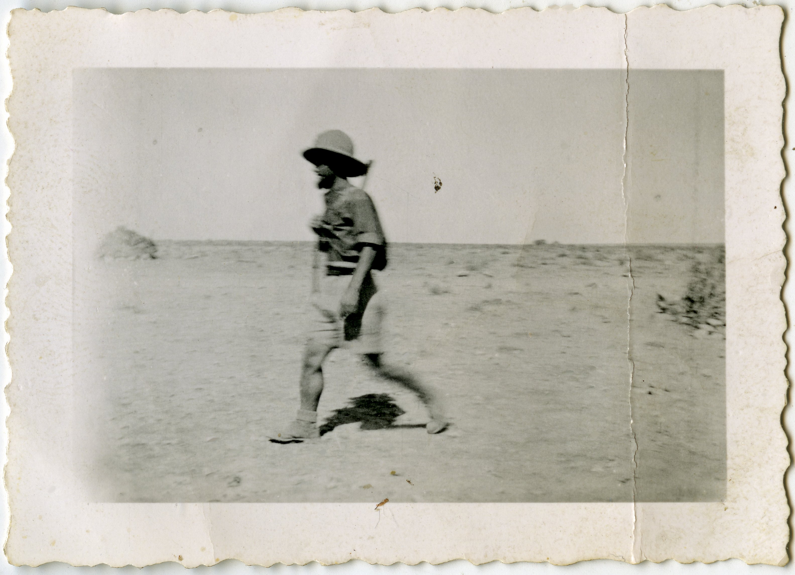 Africa settentrionale, Ain el Gazala, settembre 1941
