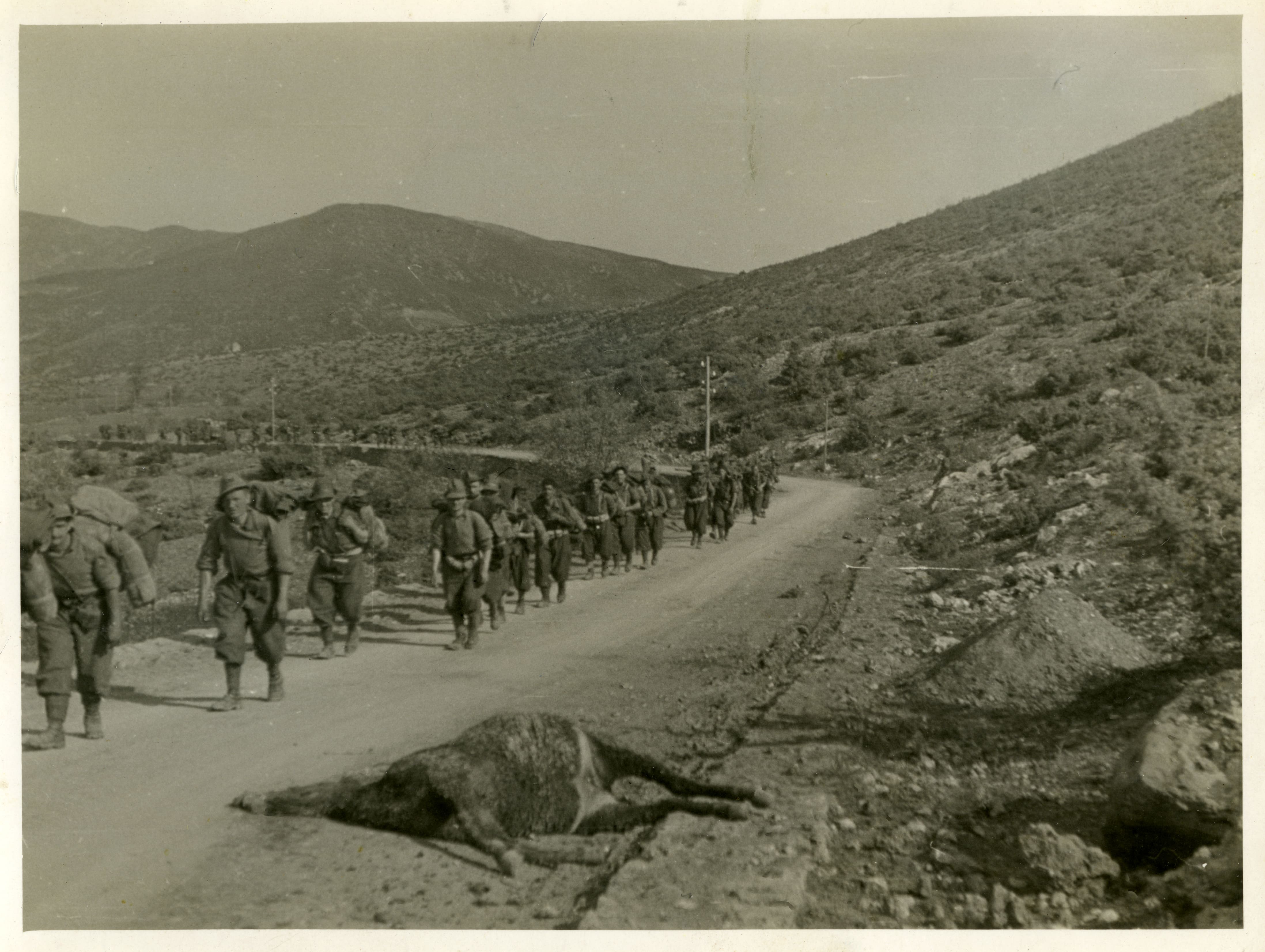 Fronte greco-albanese, primavera 1941. Probabilmente siamo nel corso dell'avanzata in Grecia